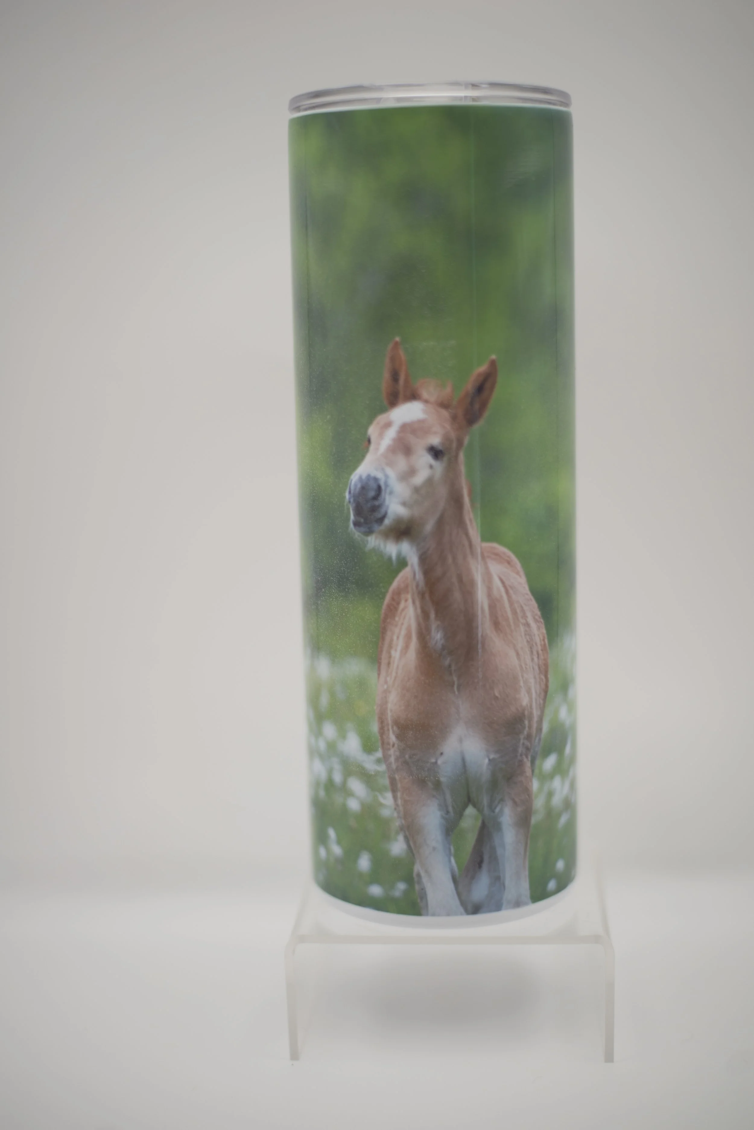 colt tumbler back.jpg
