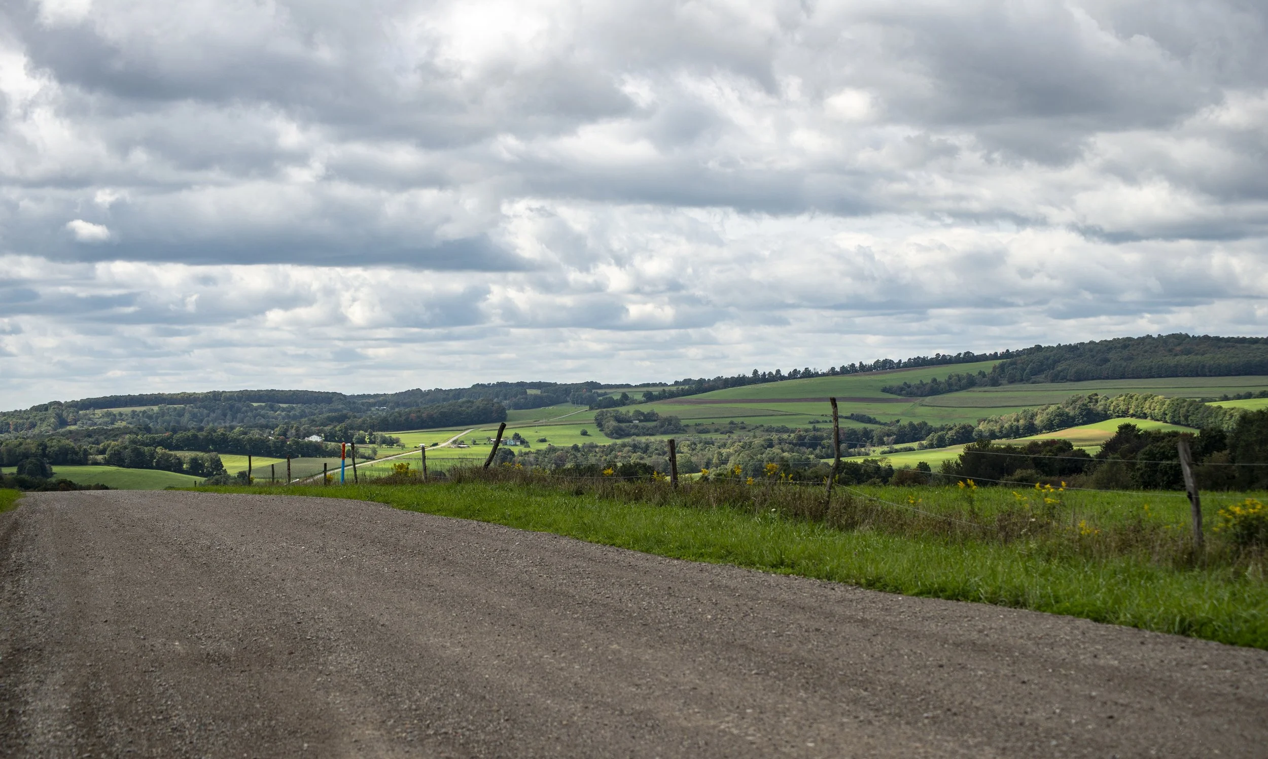 Cobb Rd. View