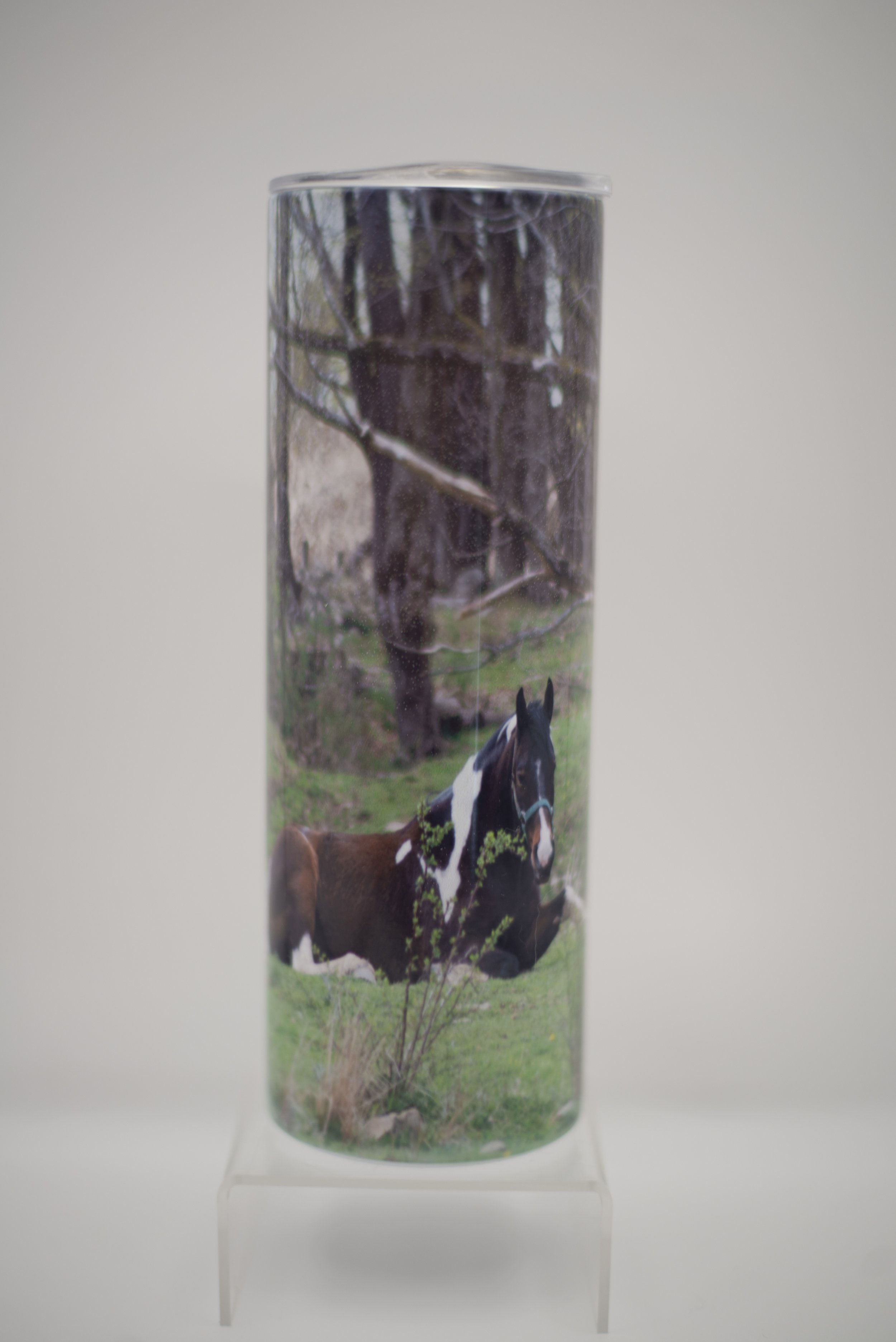 horse pose tumbler front.jpg