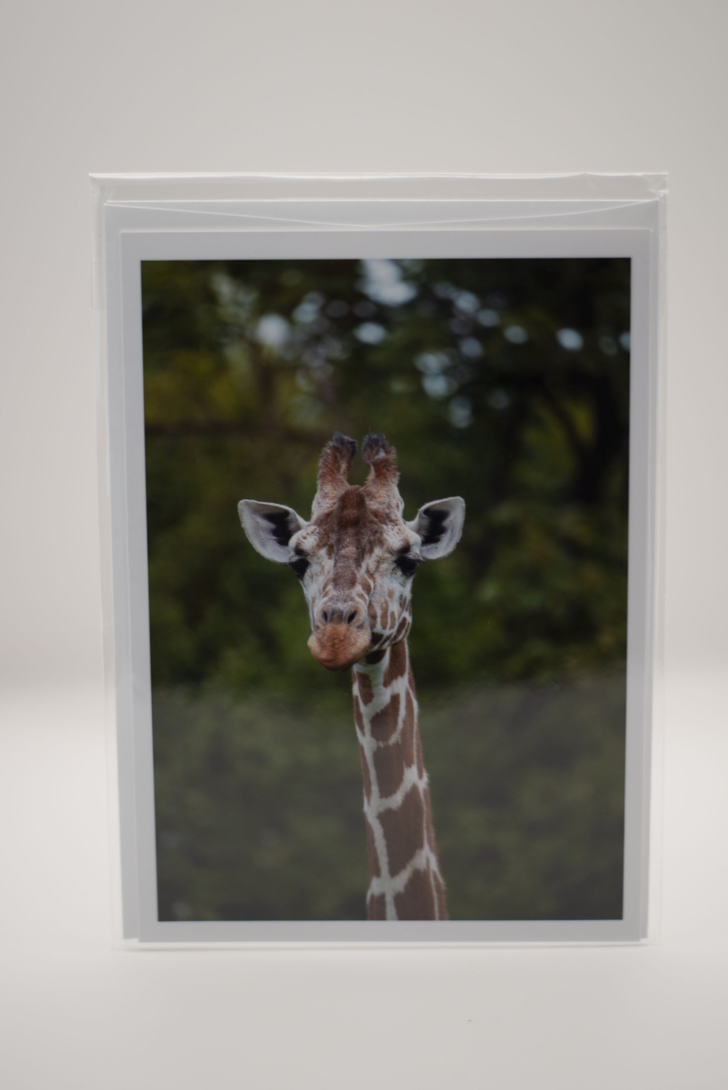 Giraffe Notecard