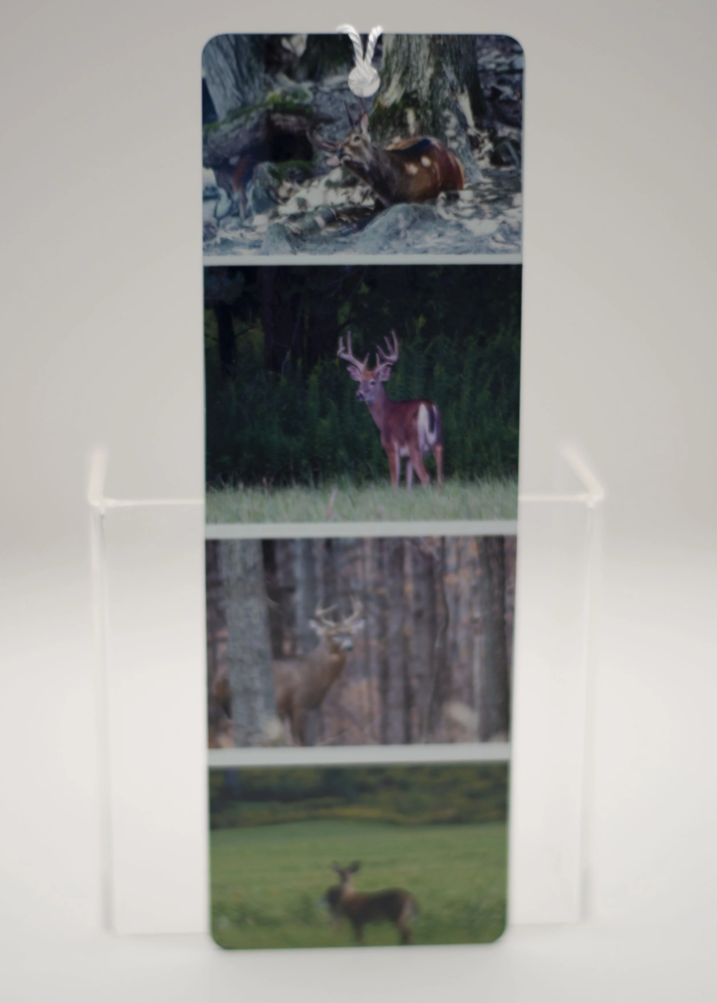 Deer Bookmark.jpg