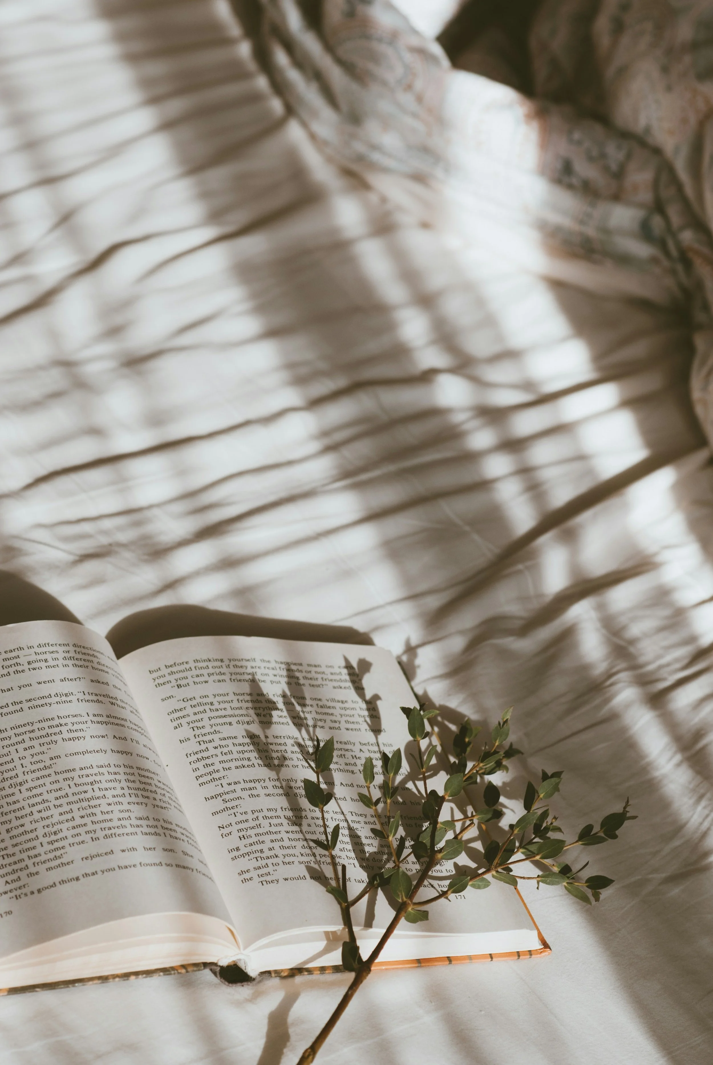 Un livre ouvert posé sur une surface blanche, avec une branche de buisson placé dessus et tenant des feuilles vertes. La lumière naturelle crée des ombres de la branche sur le livre.
