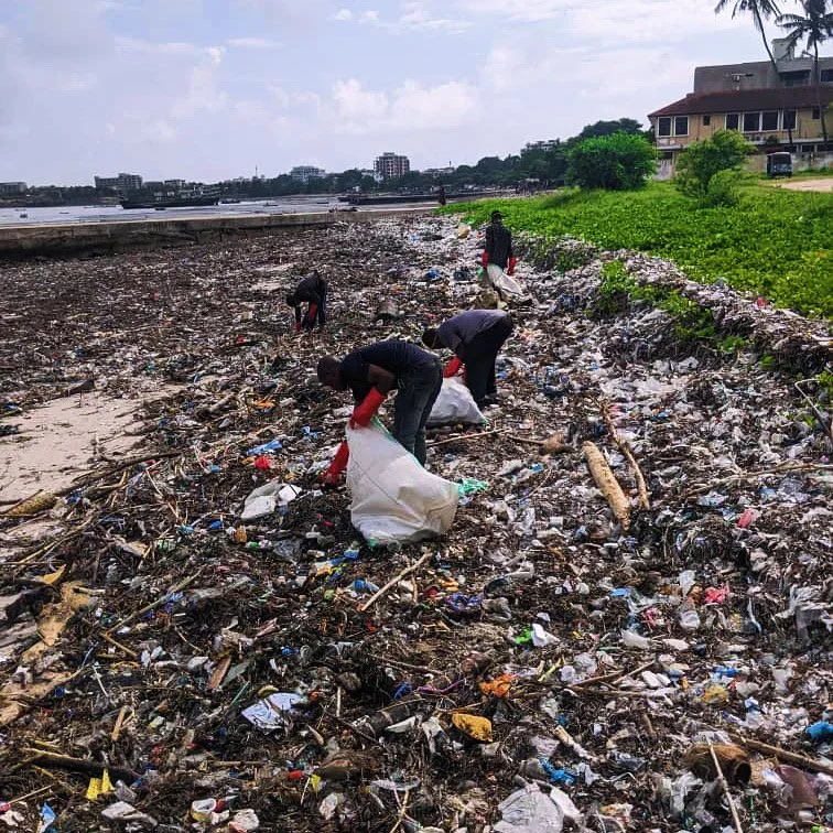 River Traps &amp; Beach Clean-ups