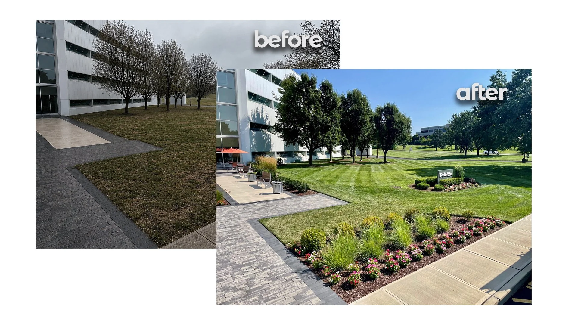 Before and after photo of a Yardnique commercial property enhancement.
