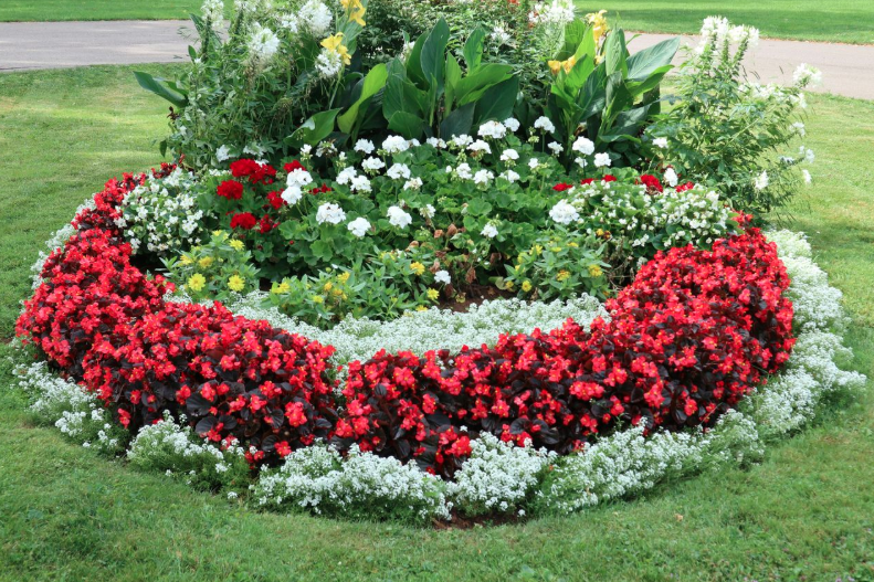 How To Care for Sod and Plants During a Drought