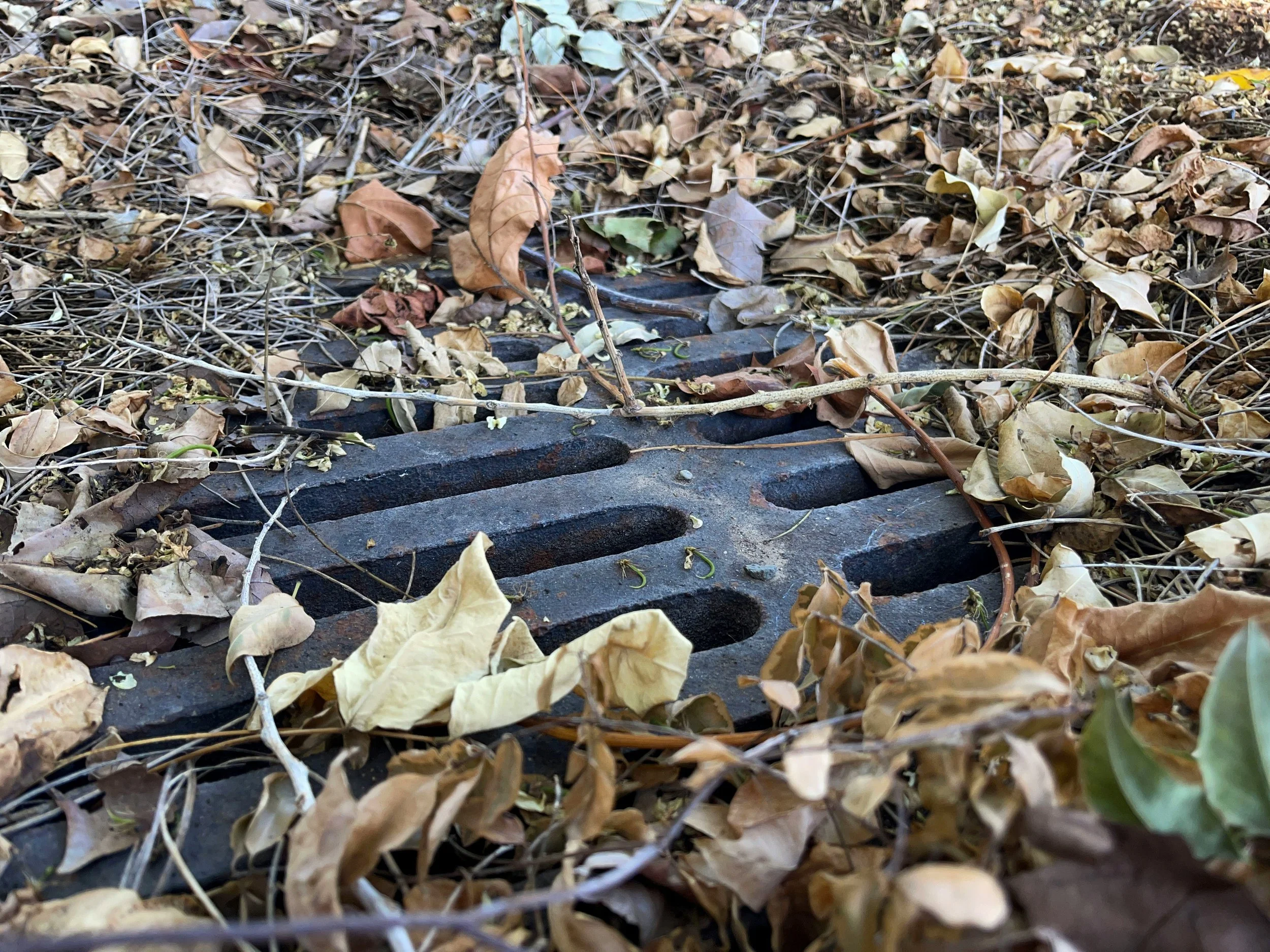 Common Drainage Problems on Commercial Properties