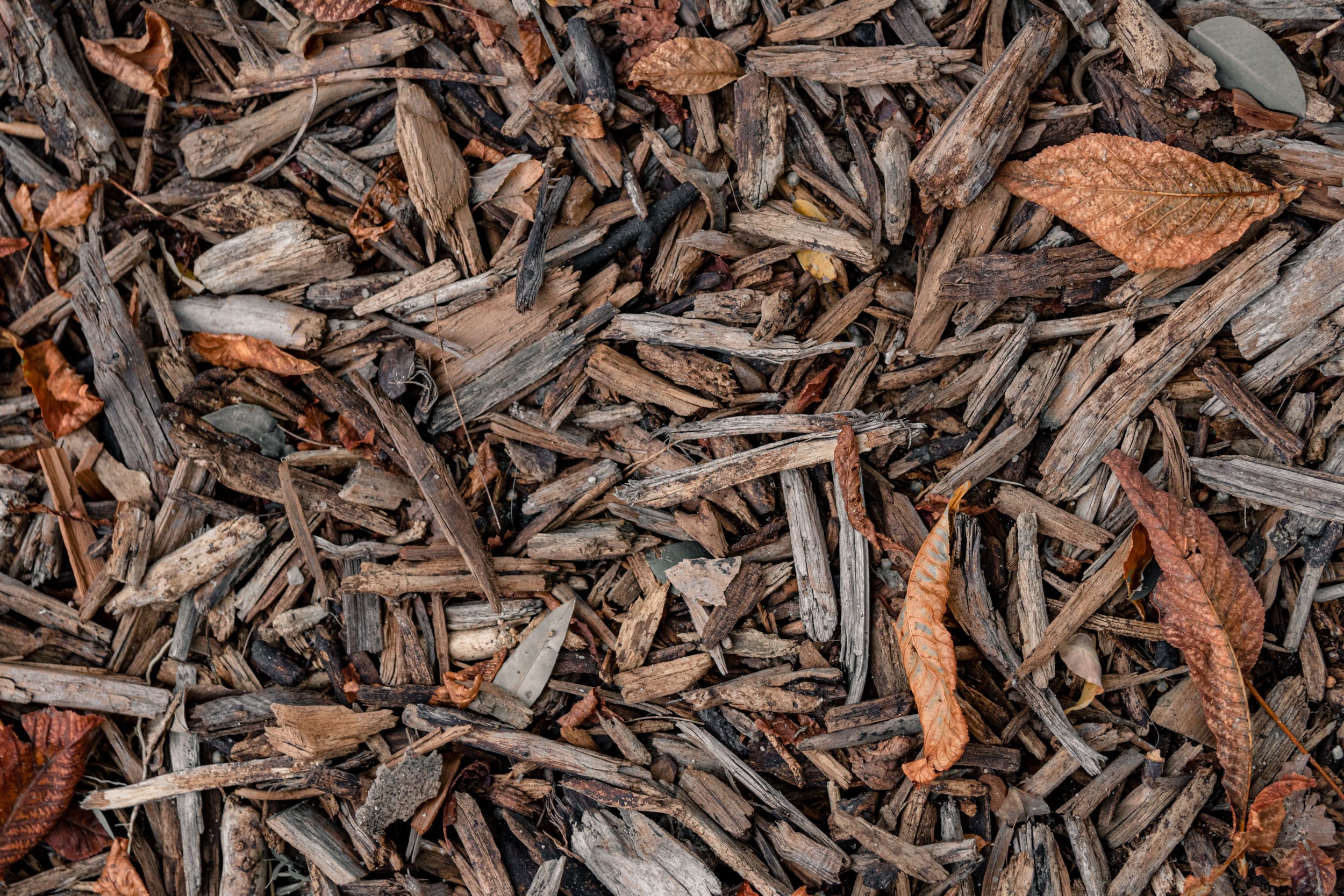 Why Mulching Is Essential for Healthy Landscapes