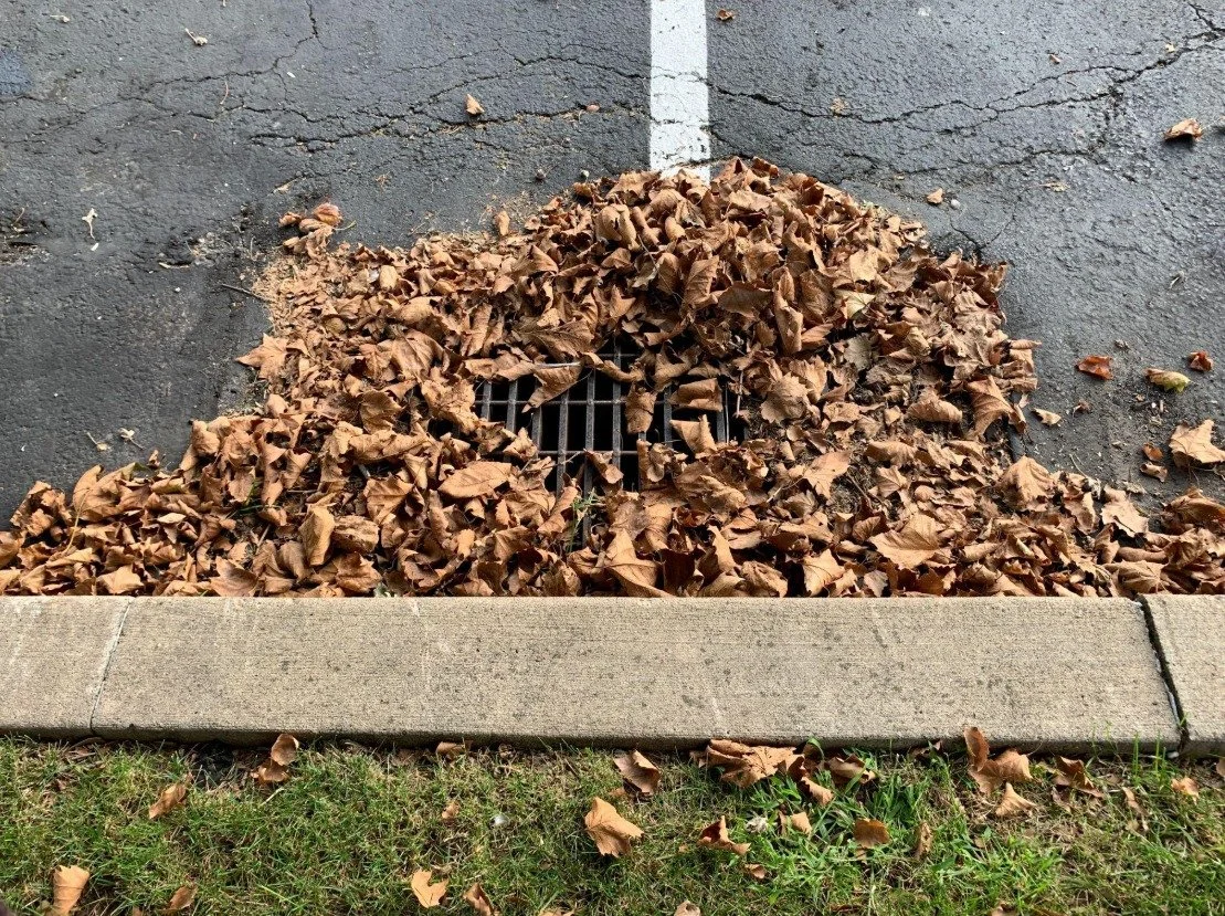 Why Fall Leaf Removal Matters for Commercial Properties