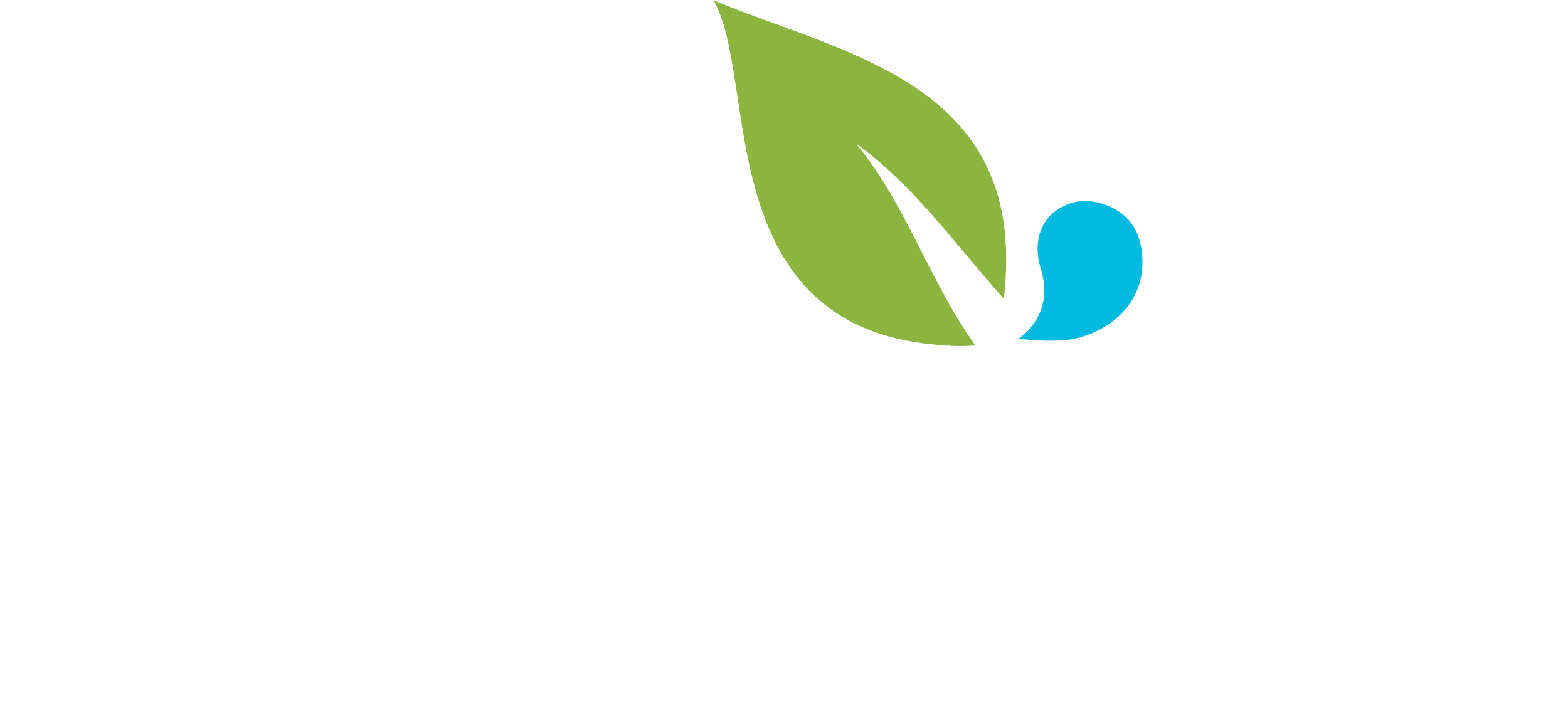 Palmetto logo with green leaf and blue droplet, with text: Palmetto, A Yardnique Company