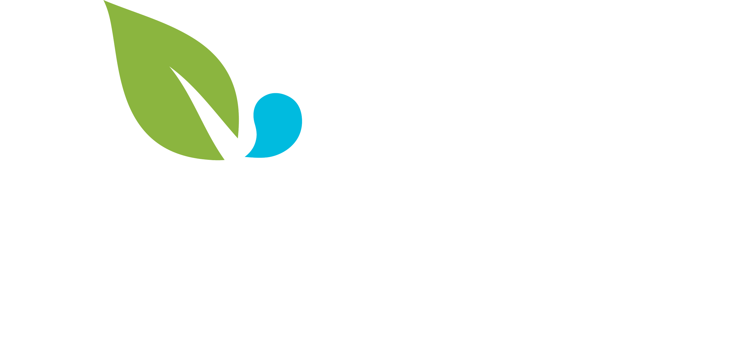 Everdguy logo with a green leaf, blue droplet, and black leaf graphic, and the text 'everdguy' in lowercase white letters, with the tagline 'A Yardnique Company' underneath.