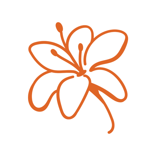 Outline drawing of a butterfly with orange lines on a black background.
