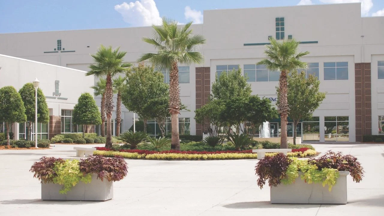 A landscaped entrance with palm trees, green bushes, and flowers in white planters in front of a modern white building with large windows.