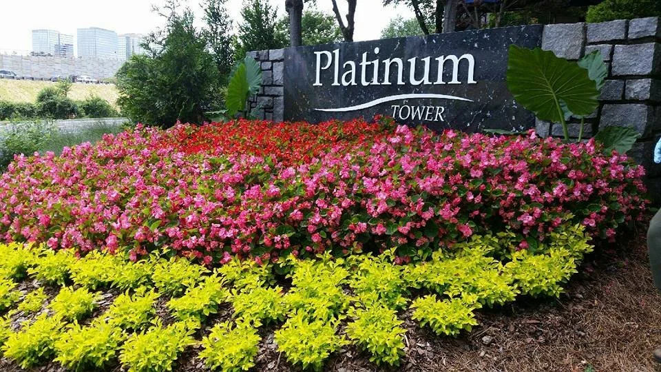 Flower bed with pink and yellow flowers in front of a sign that says 'Platinum Tower' on a stone wall.