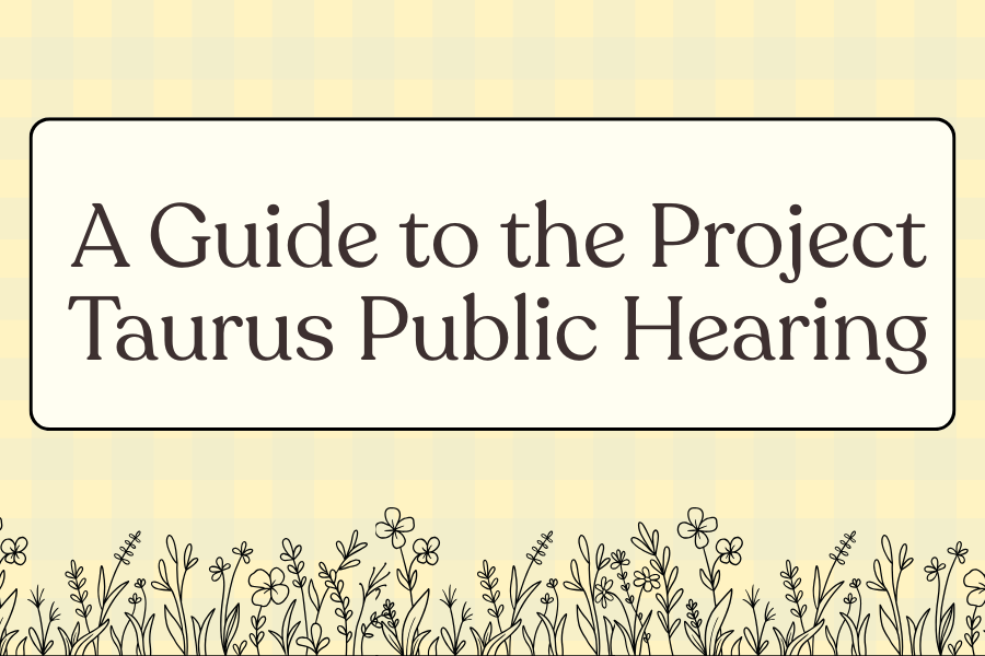 A Guide to the Project Taurus Public Hearing