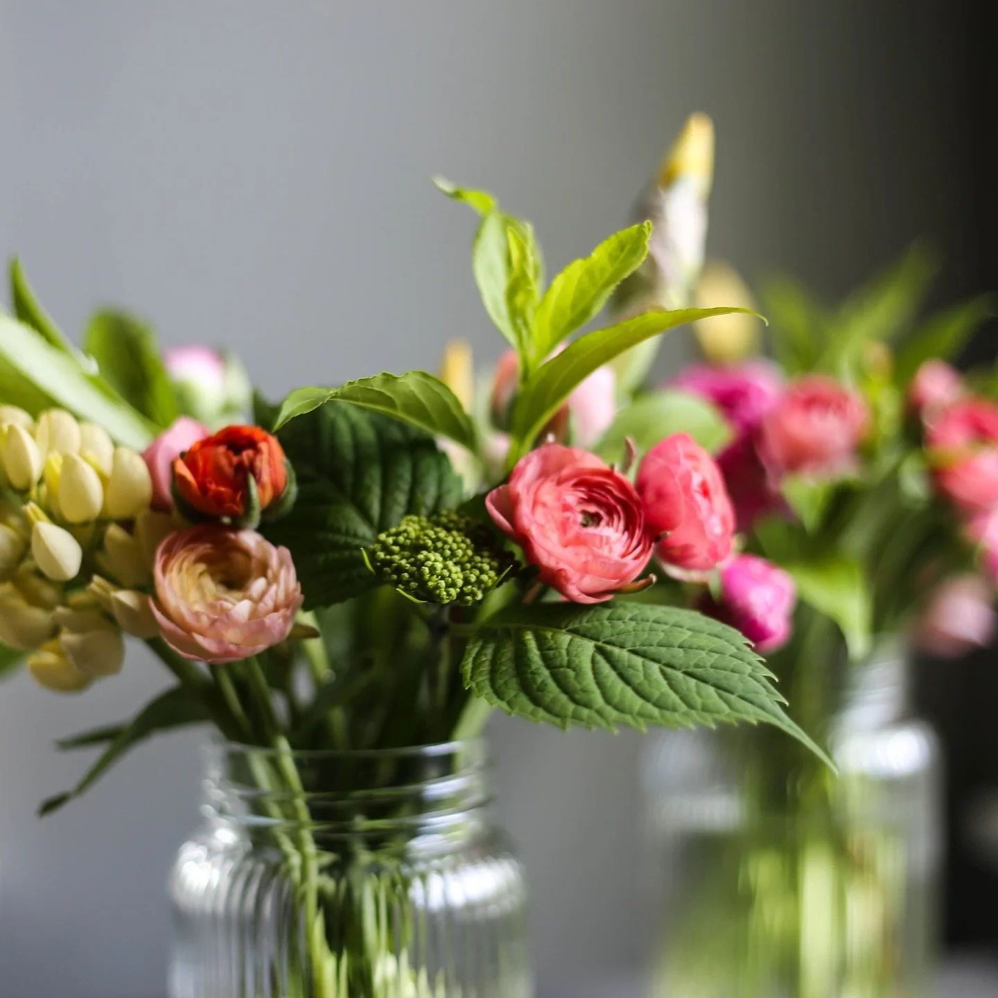 And just like that&mdash; the 2025 season is a wrap! 

Thank you so much for a wonderful season. We are cutting down the flowers this week (except the dahlias), so we will have some mixed bouquets available.