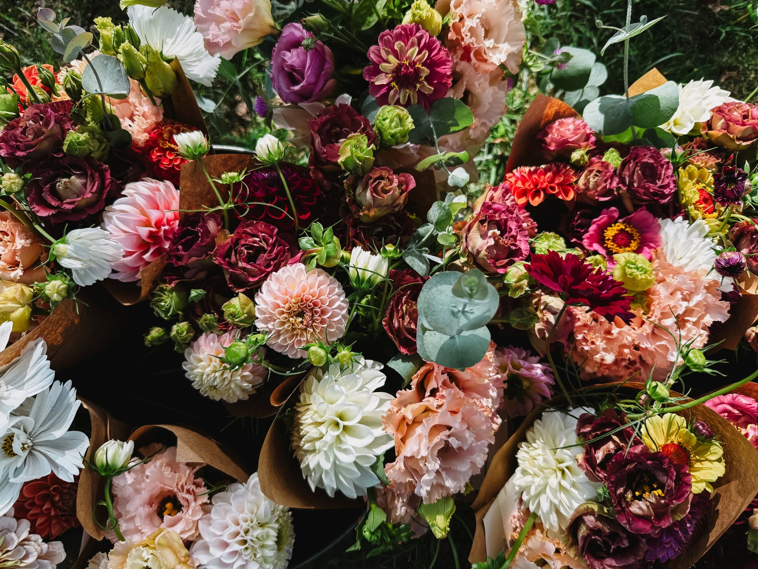 What I Wish I Knew Before Starting a Micro Flower Farm