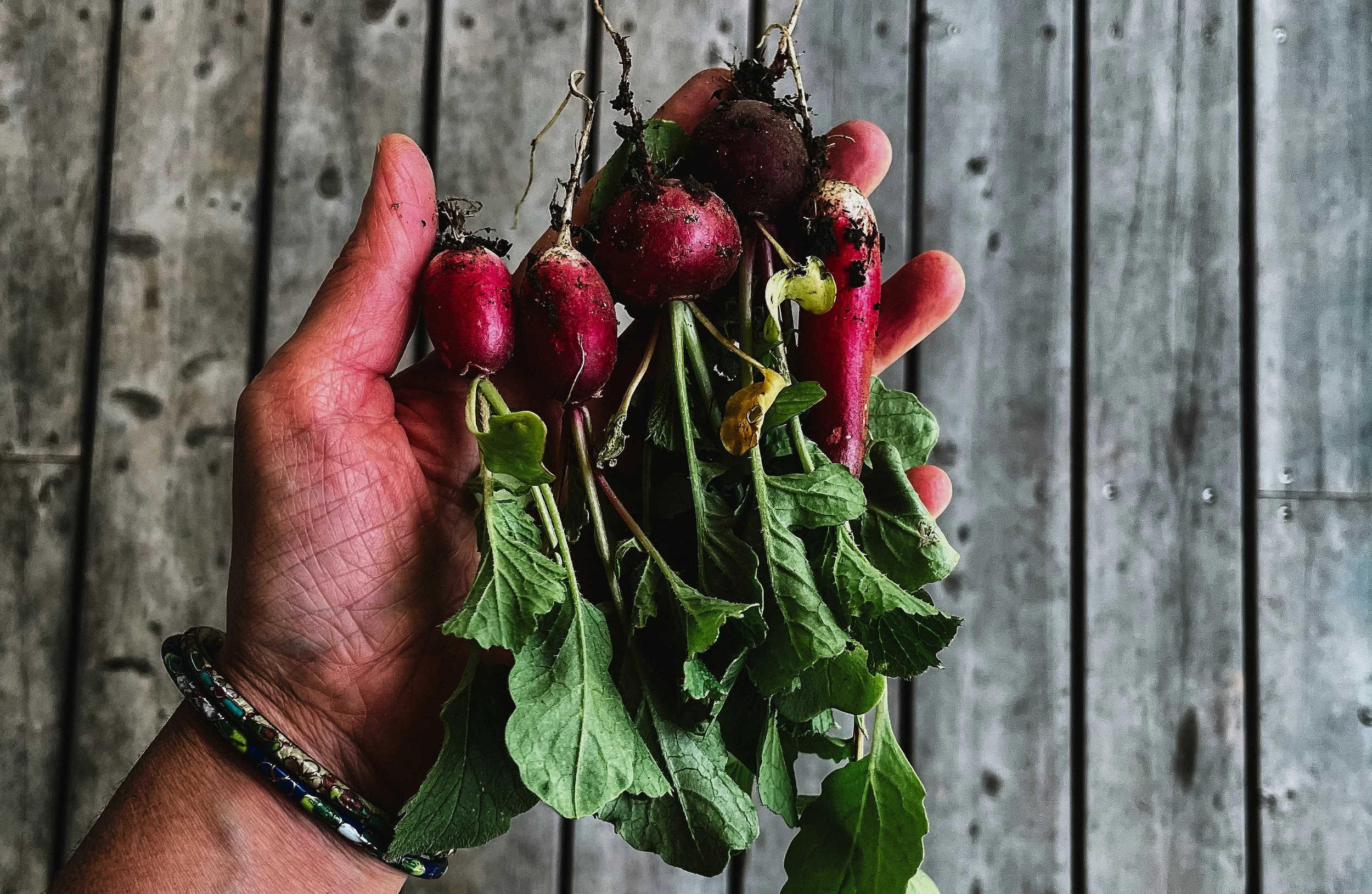 Veggies to Grow in Your Autumn Garden