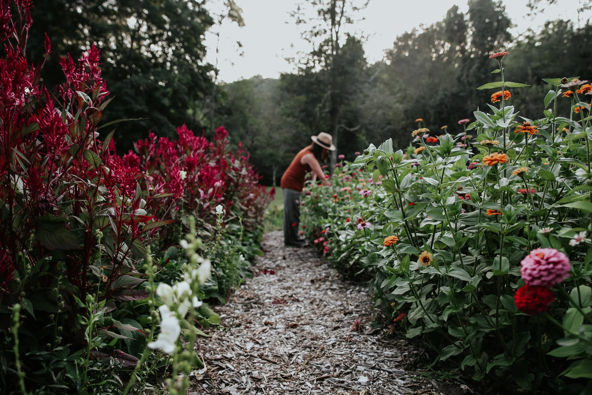 Rachel, farmer florist of Bloom Harvest Flower Farm in SE, CT 