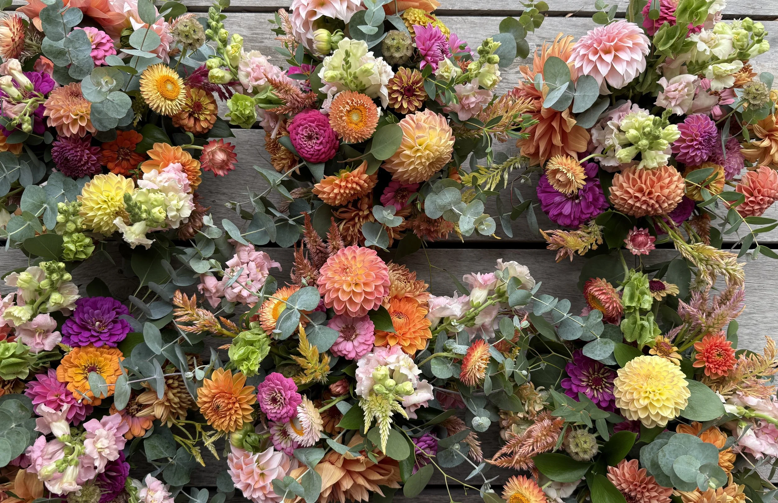 bloom Havrest Flowers.JPG