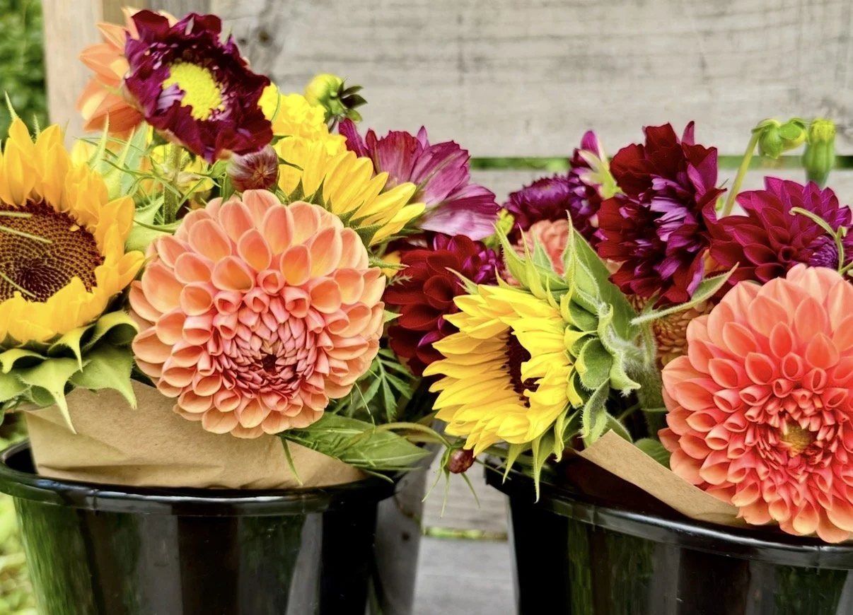 East Lyme Flower Club- bloom harvest.jpg