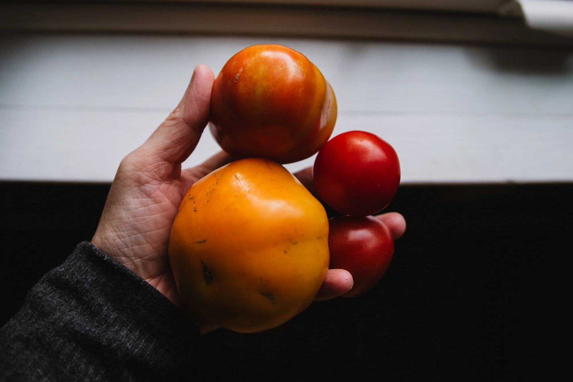 Late Season Tomatoes: How to Ripen, Use &amp; Preserve Them