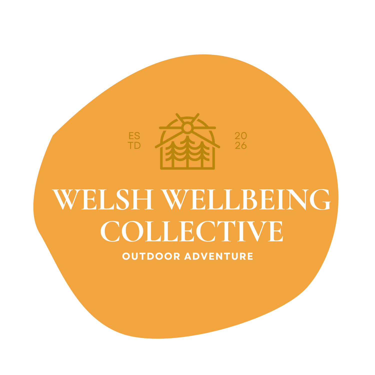 Welsh Wellbeing Collective