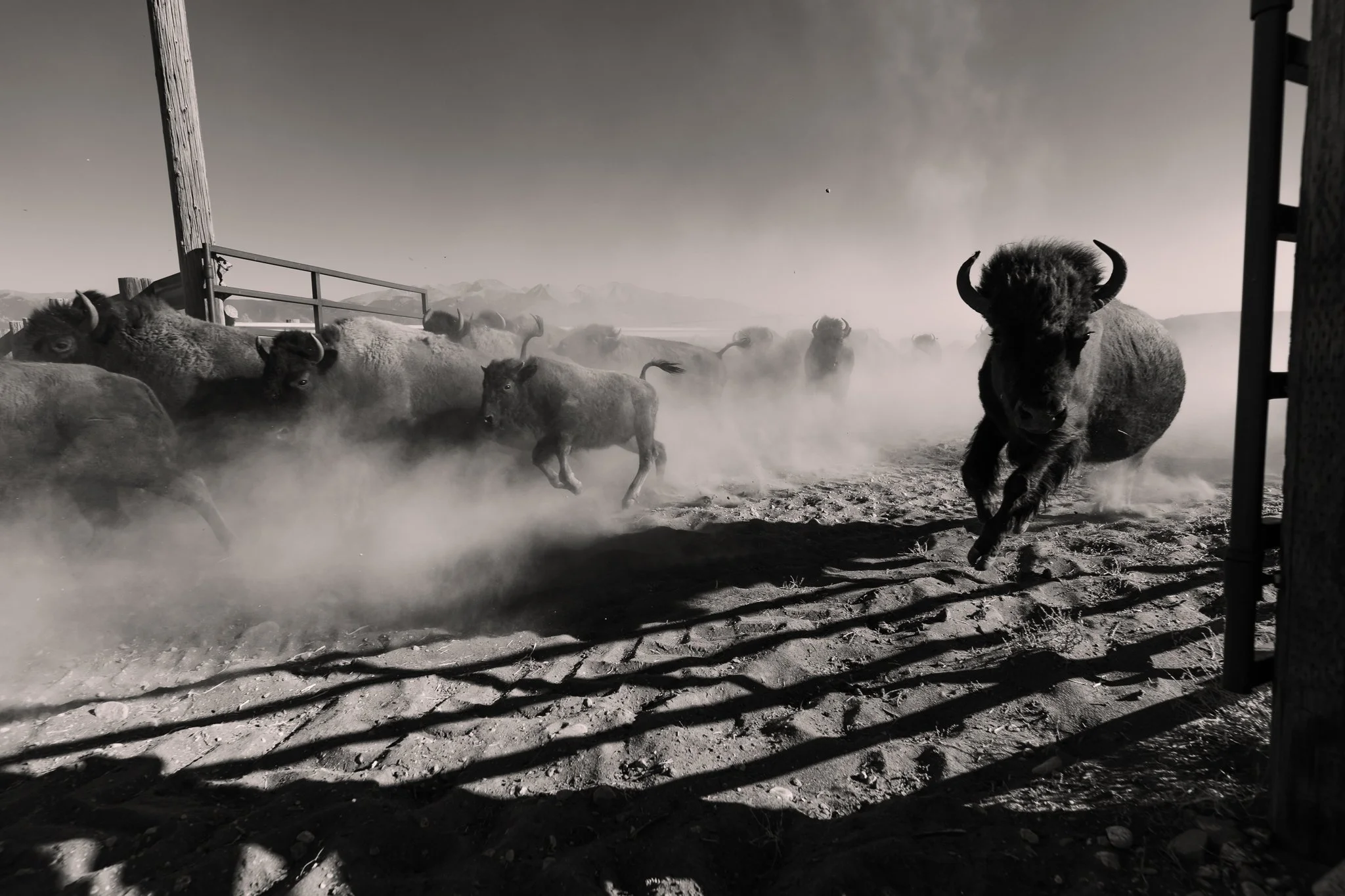 Cira10-14-20-0292-2.jpg