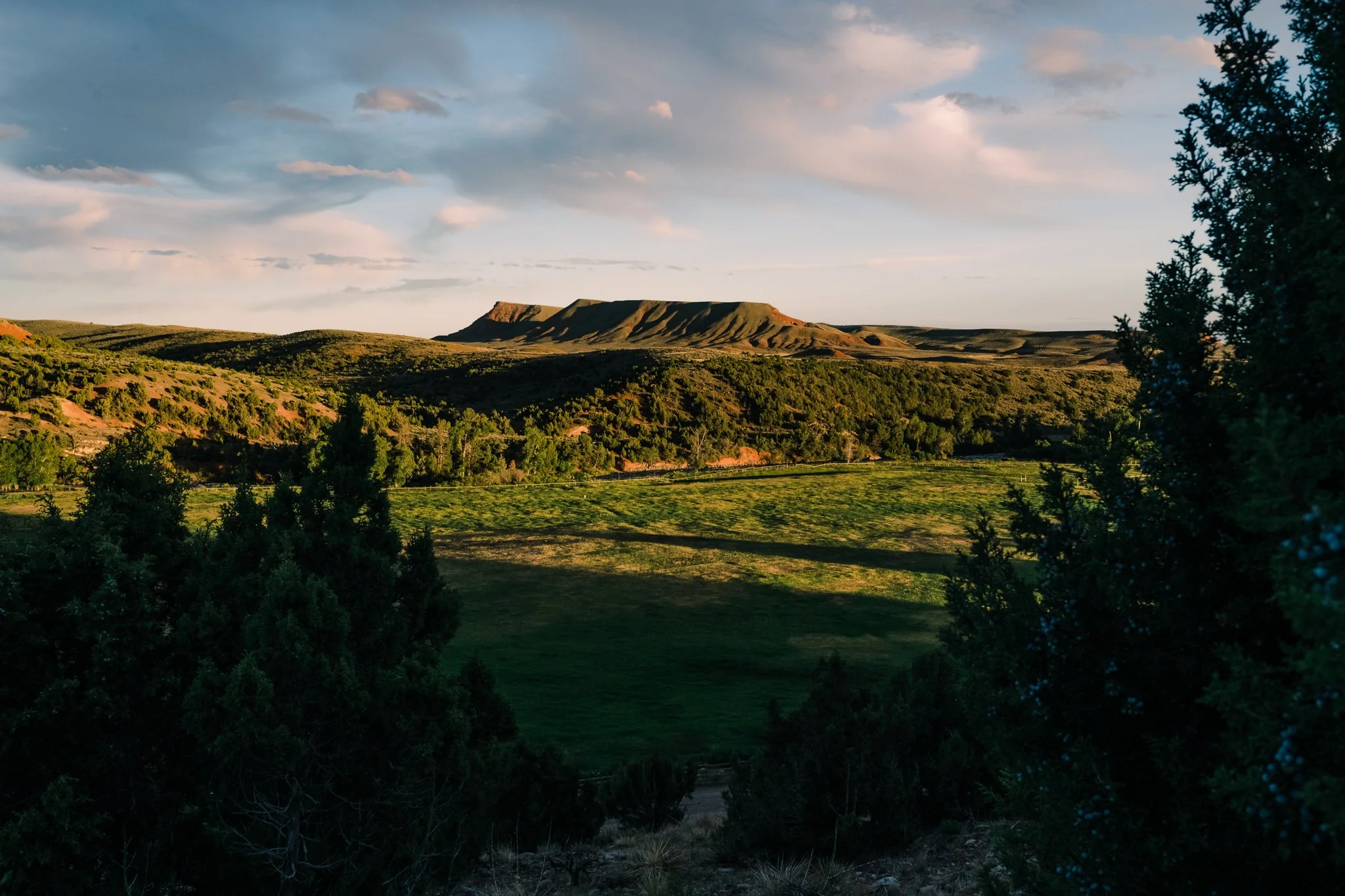 _DSC3303.JPG