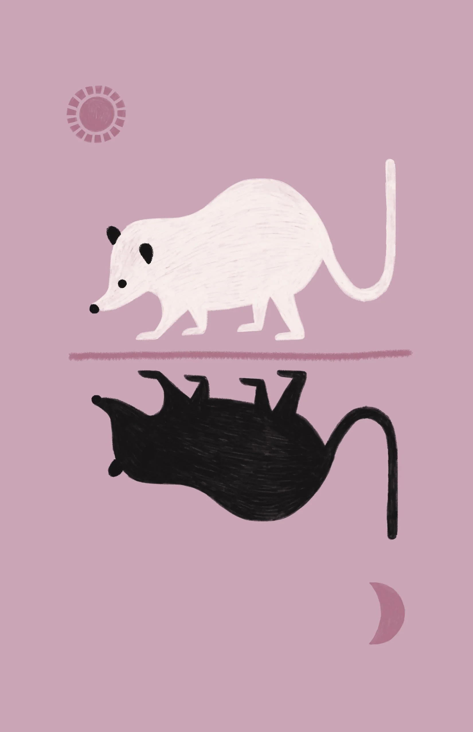 opossum_3.jpg