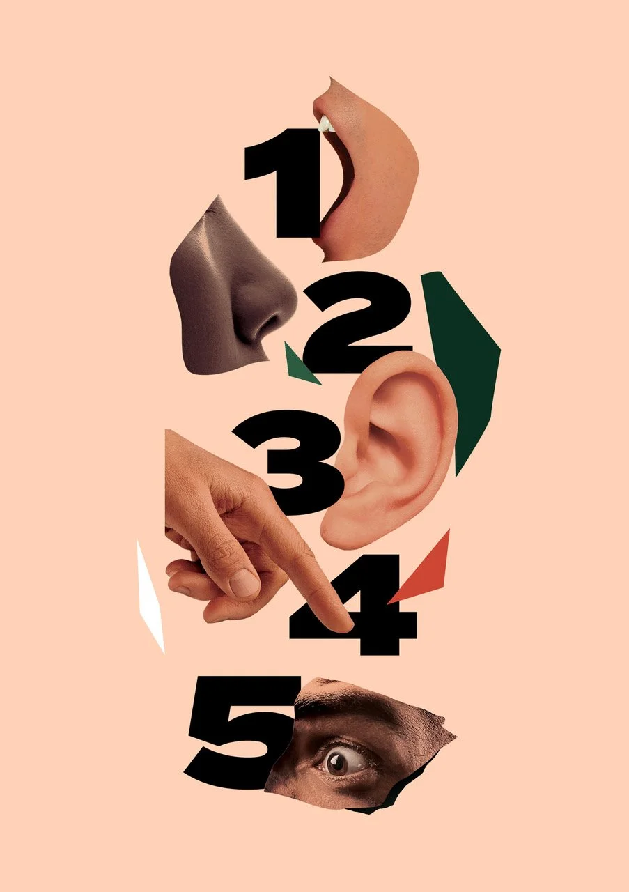 IMG_2498.jpeg