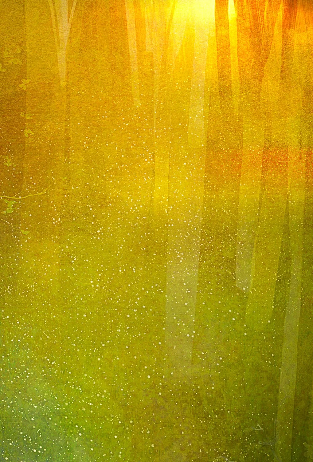 greenwood3.jpg