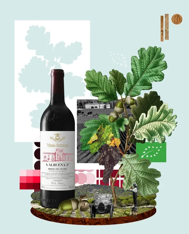 6-le-monde-se-vin-vega-sicilia-1-copie.jpg