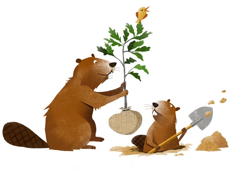 PZ Plant a Tree .jpg