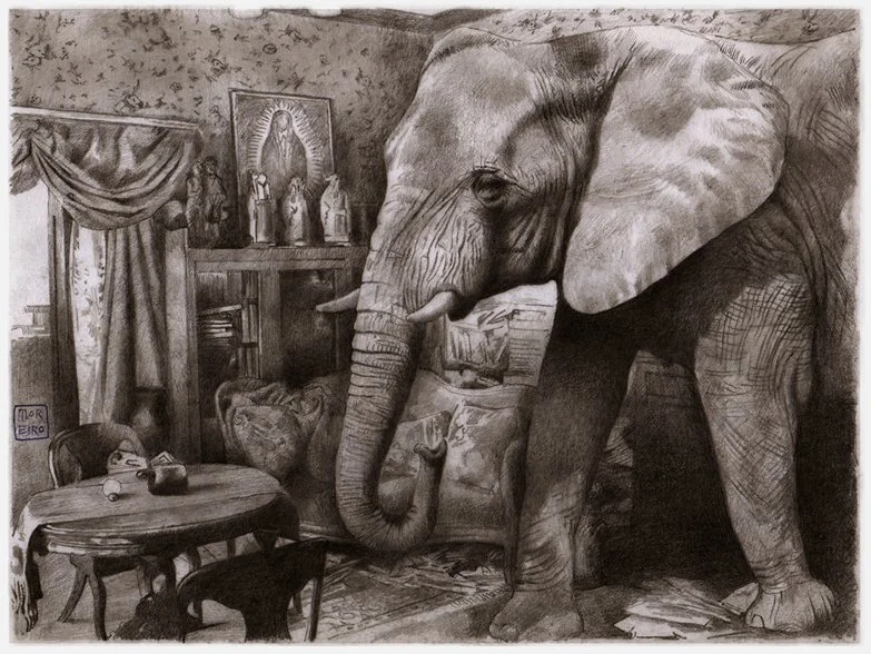 moreiro_elephant_2_web.jpg