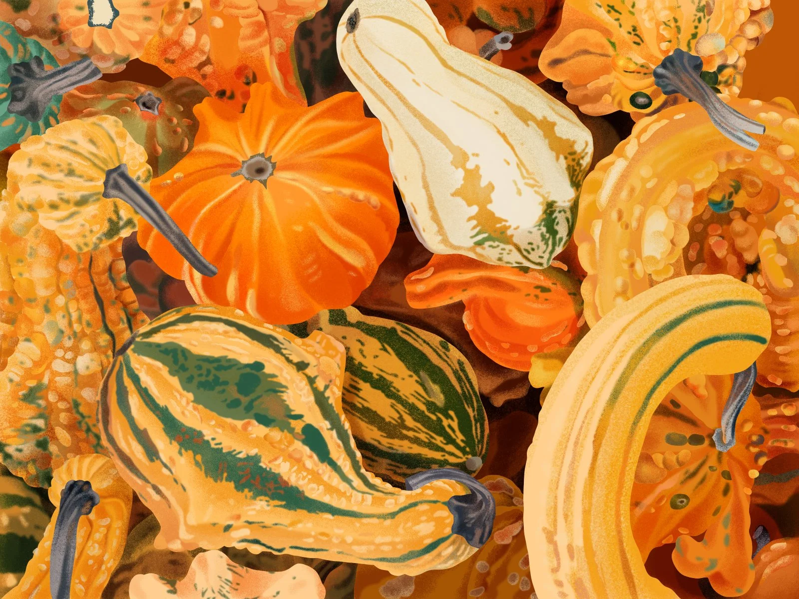 gourds_color.jpeg