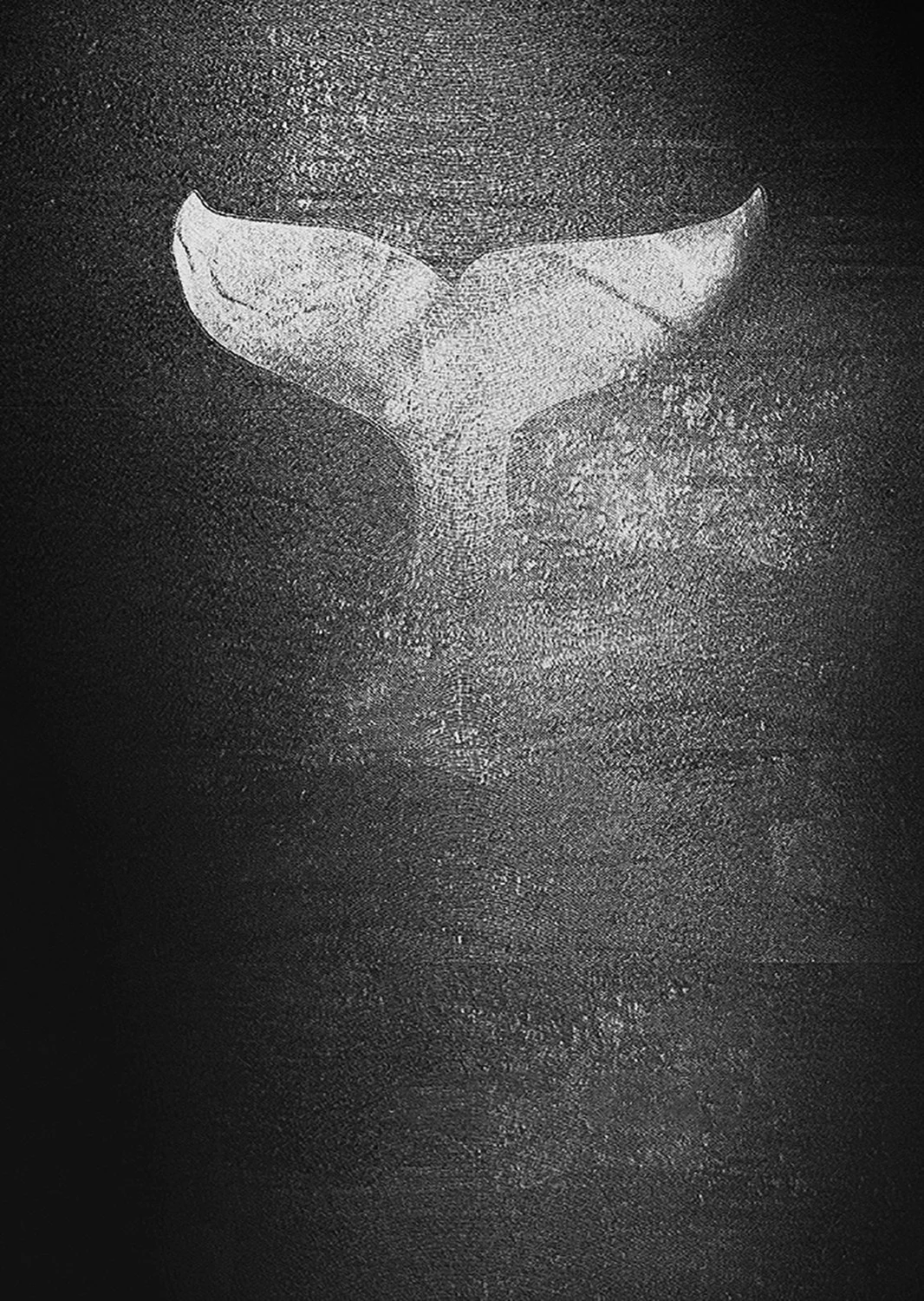 mw_moby dick.jpg