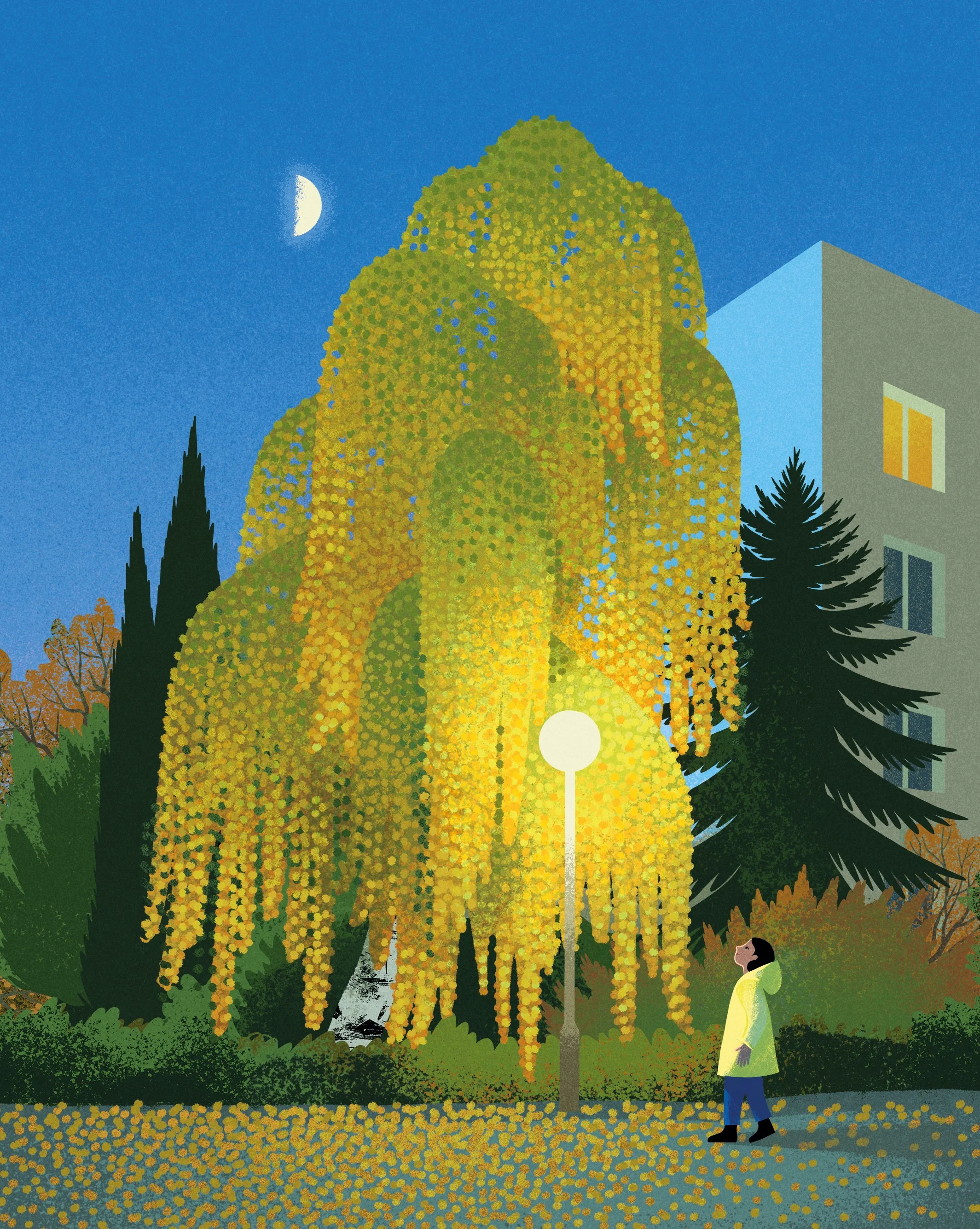 autumn_october_a.jpg