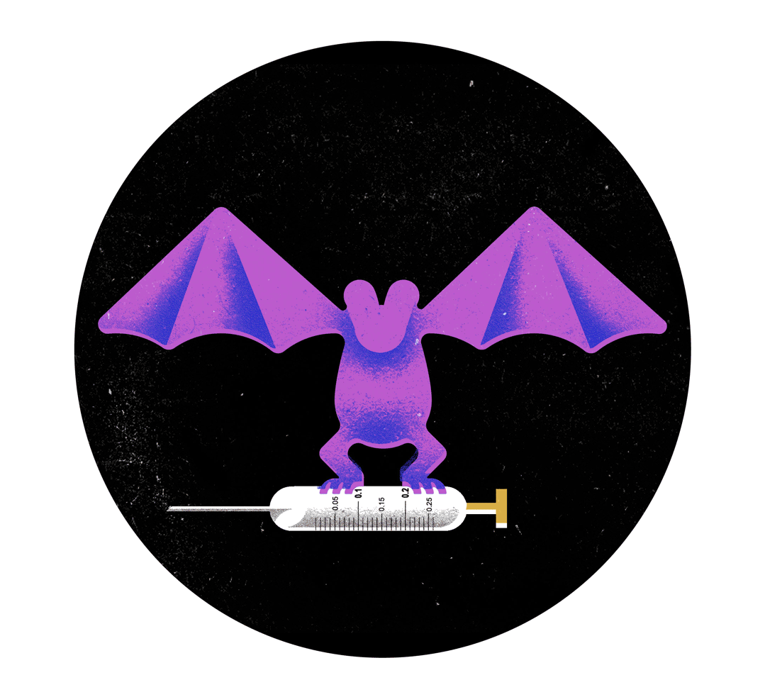 batvid2.gif