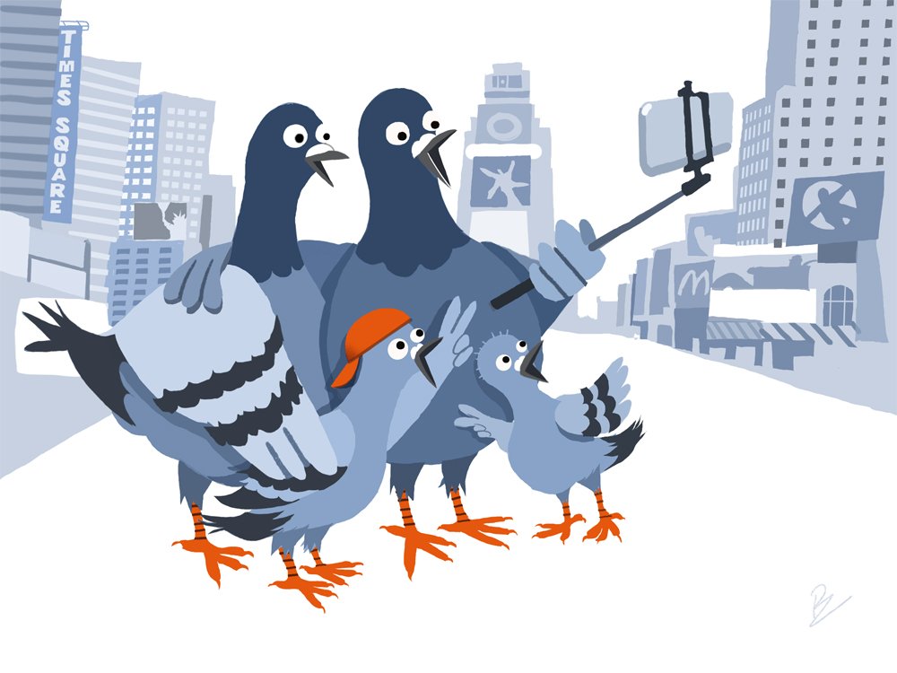 PZ Pigeon Vacation.jpg