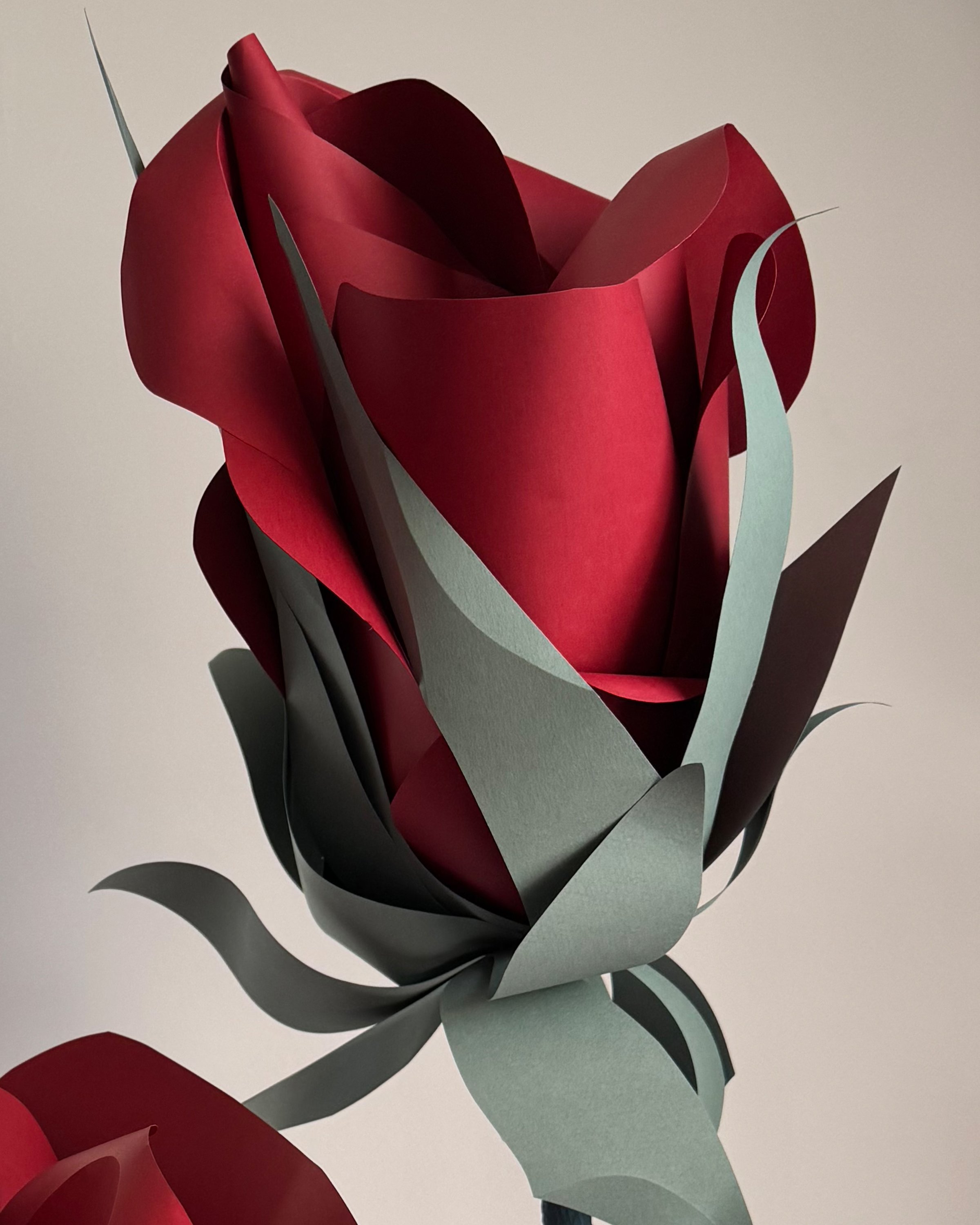 rose_marlena_stawarz.jpg