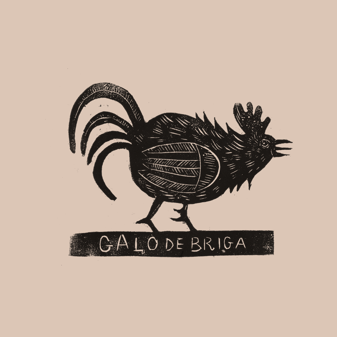 xilo_galo_03.png
