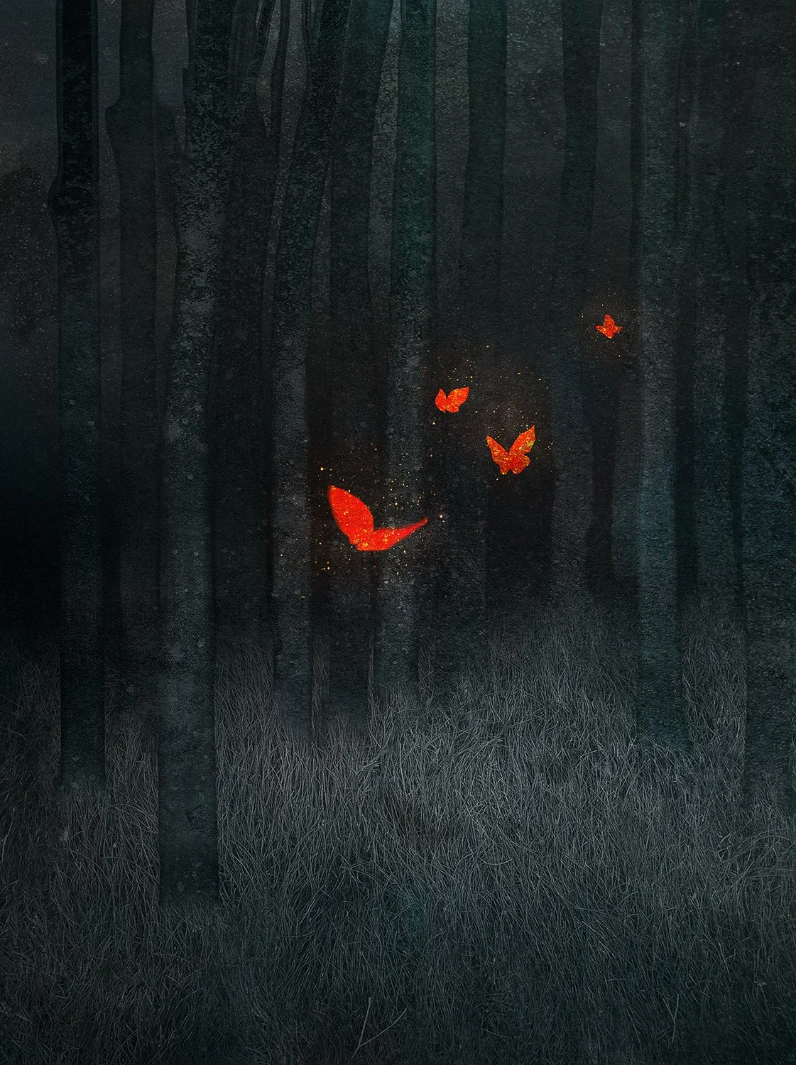 mw_quiet forest.jpg