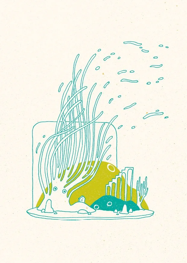 drawing 03.jpg