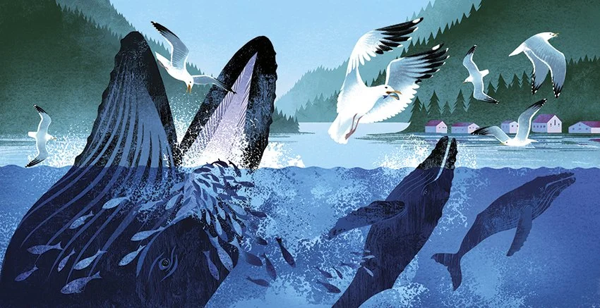 seagulls18_19.jpg