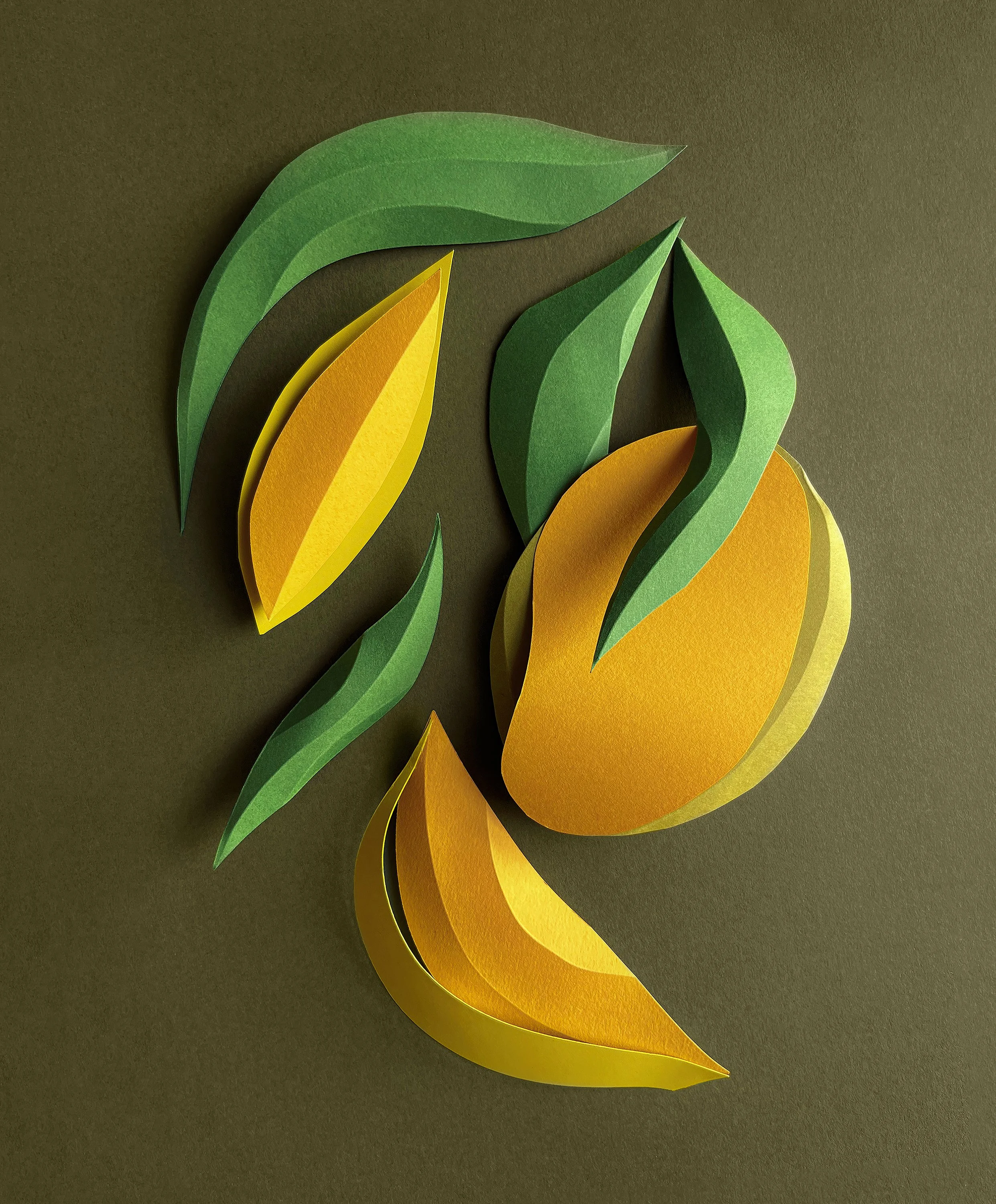mango_ilustracja_marlena_stawarz_final_rgb kopia.jpg