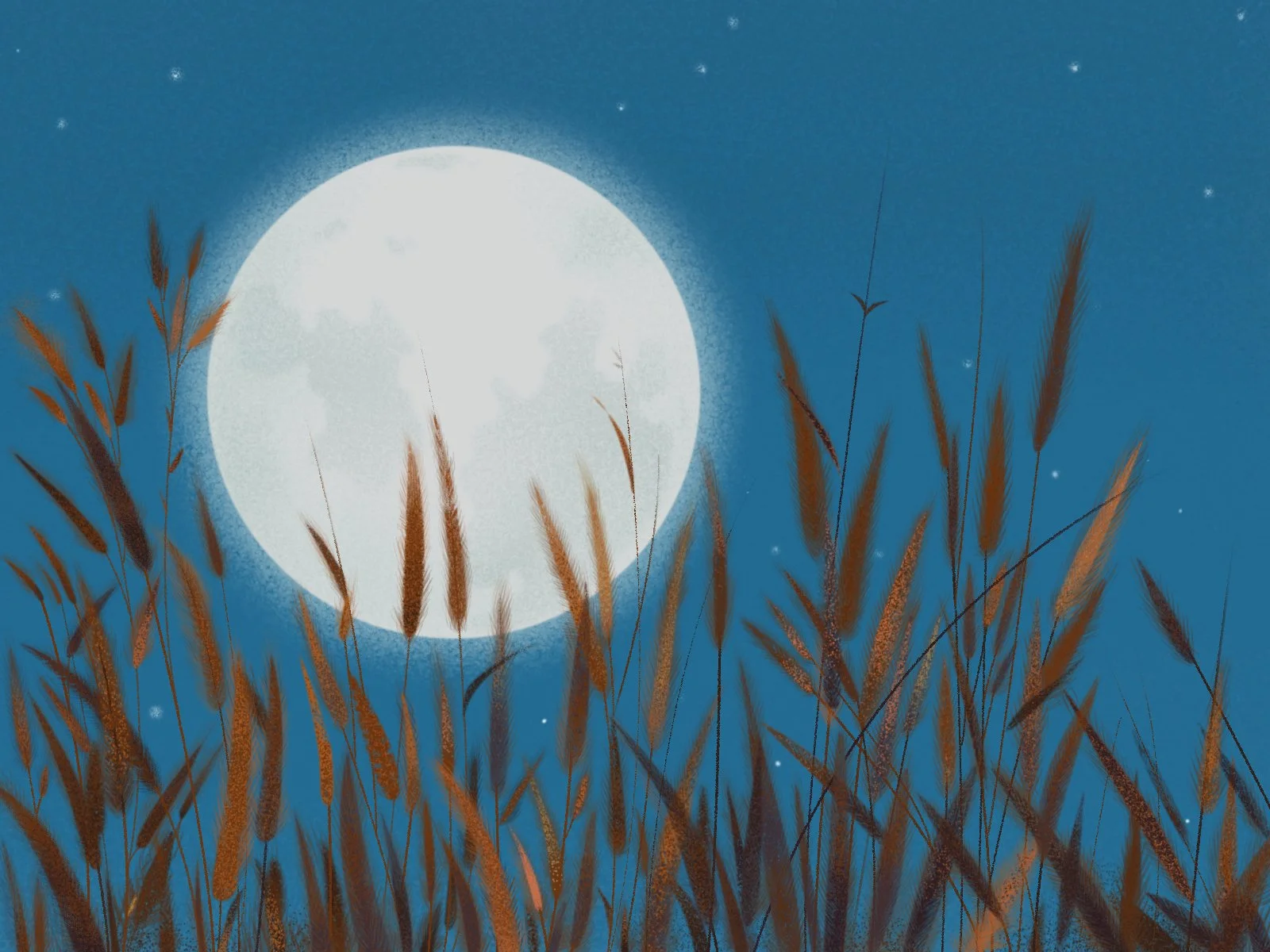 Haiku Challenge_Moon.jpg