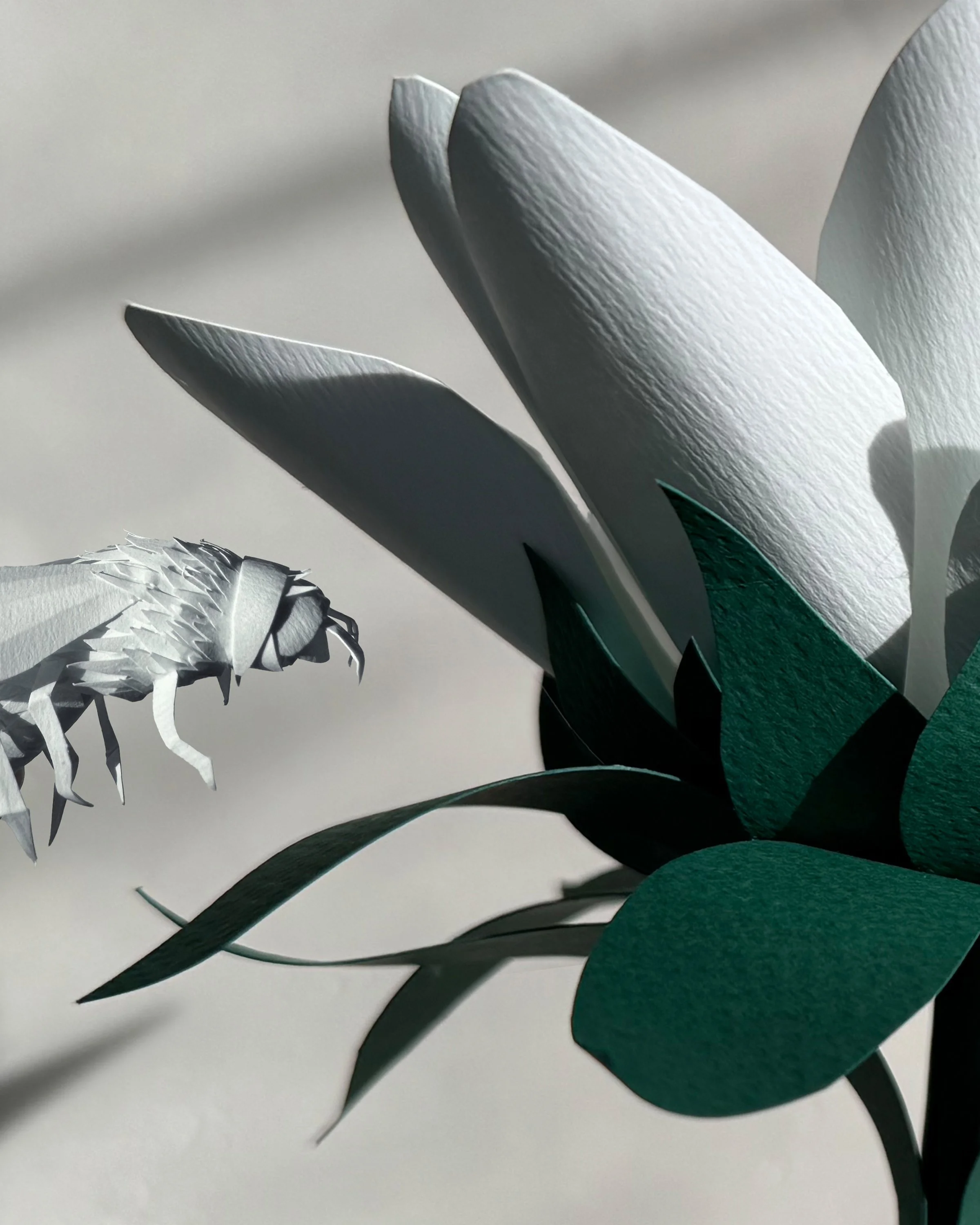 paper_bee_2_marlena_stawarz.jpg