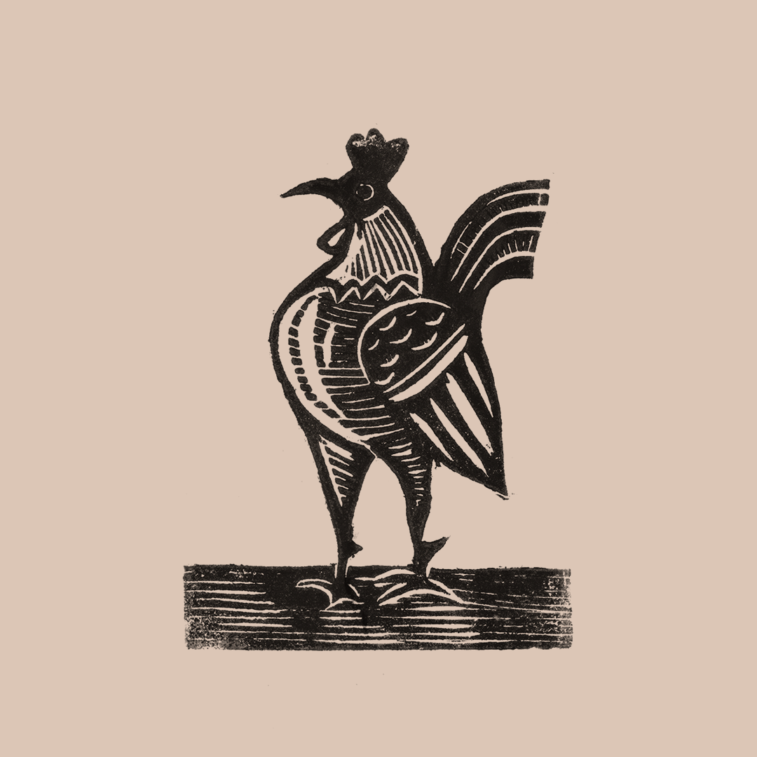 xilo_galo_02.png