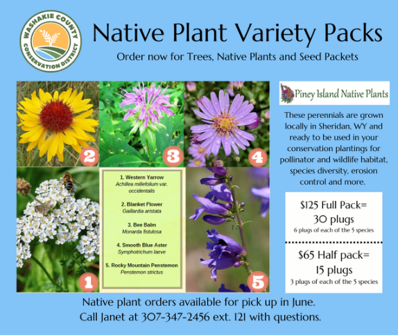 Native Plants, Perennial: FULL Variety Pack