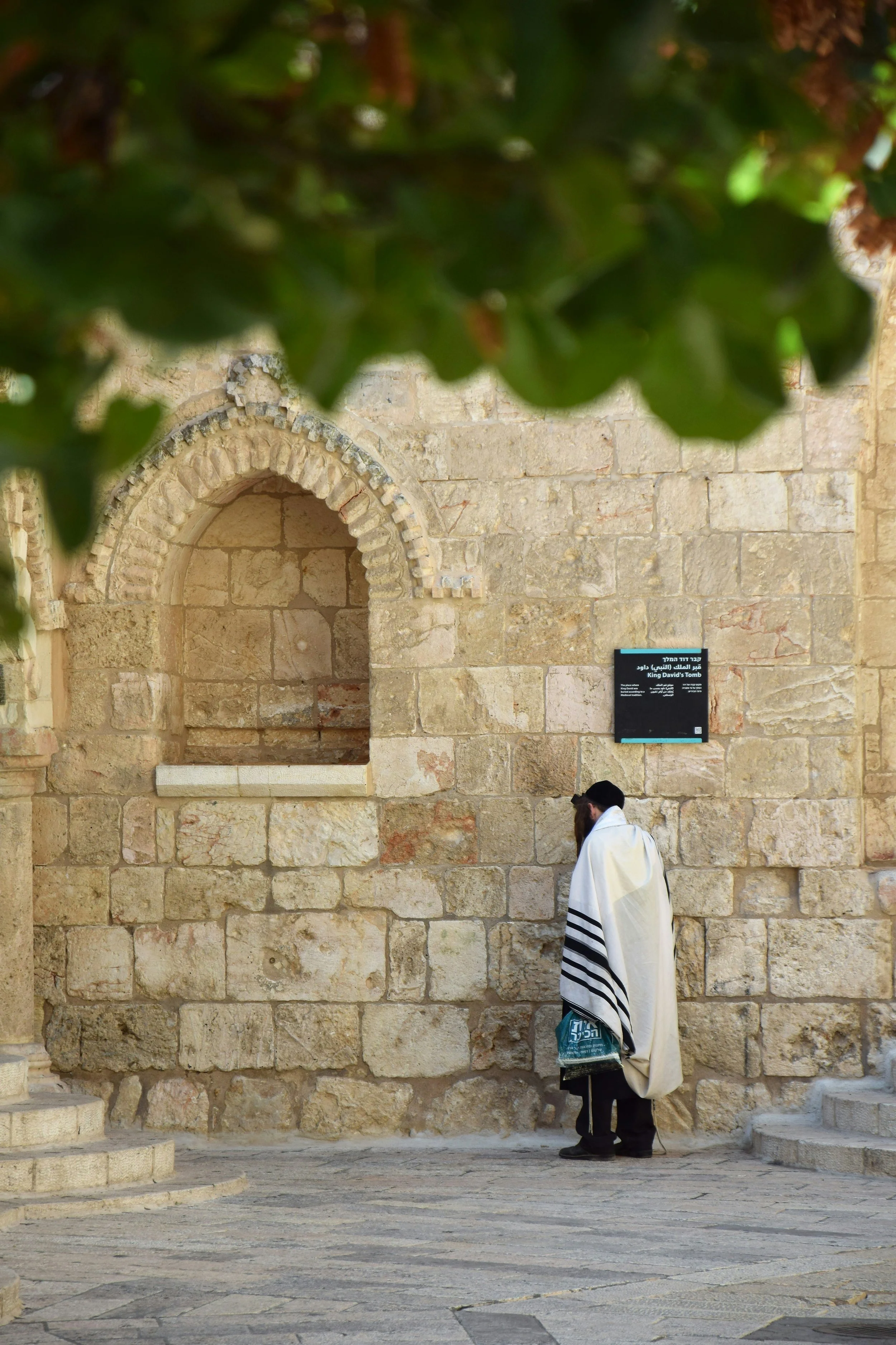 A man dressed in traditional Jewish prayer clothing, standing in front of a beige stone wall with an arched niche and a sign that reads 'King David's Tomb'. The man has a beard and is wearing a tallit with black stripes, with a small bag hanging from his waist. There are overhanging green leaves partially obscuring the top of the image.